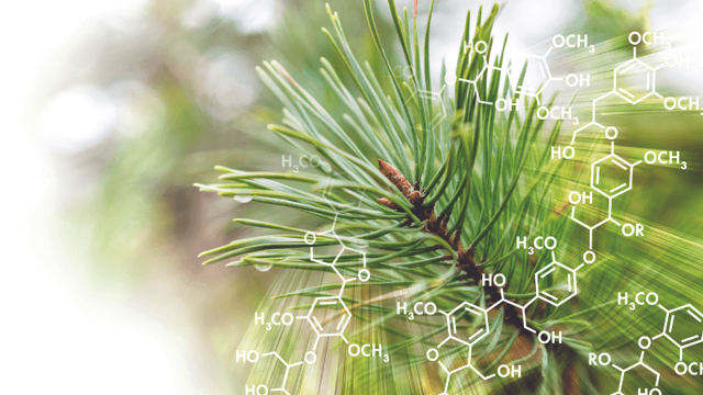 LIGNIN tehnologija, odslej na voljo le pri podjetju URSA 